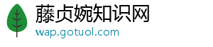 藤贞婉知识网